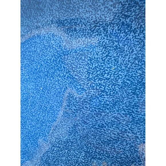 Royal Norfolk Blue Speckled Set Of 2 Dinner Plates 10 5/8" - Picture 7 of 9